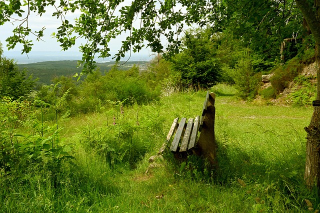 的一个共性 的一个共性