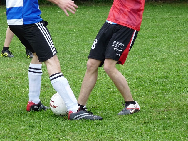 都期待看到 都期待看到